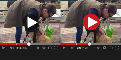 Easy-Tie Action Video